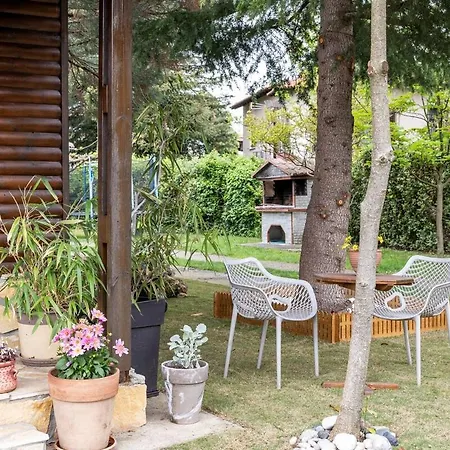 Tetos Wooden House Velventós
