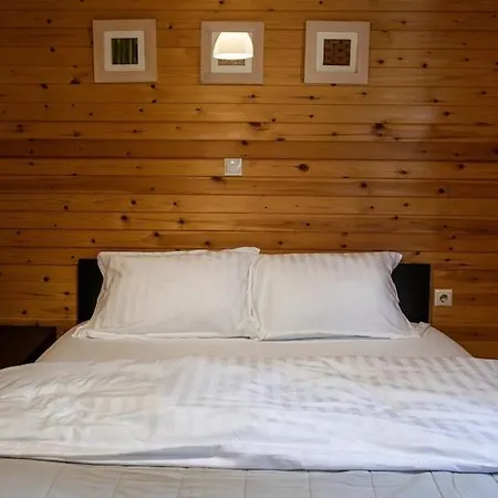 Tetos Wooden House * Velventós