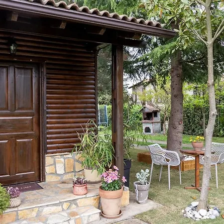 Tetos Wooden House Velventós